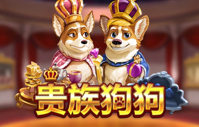 ky体育在线官网